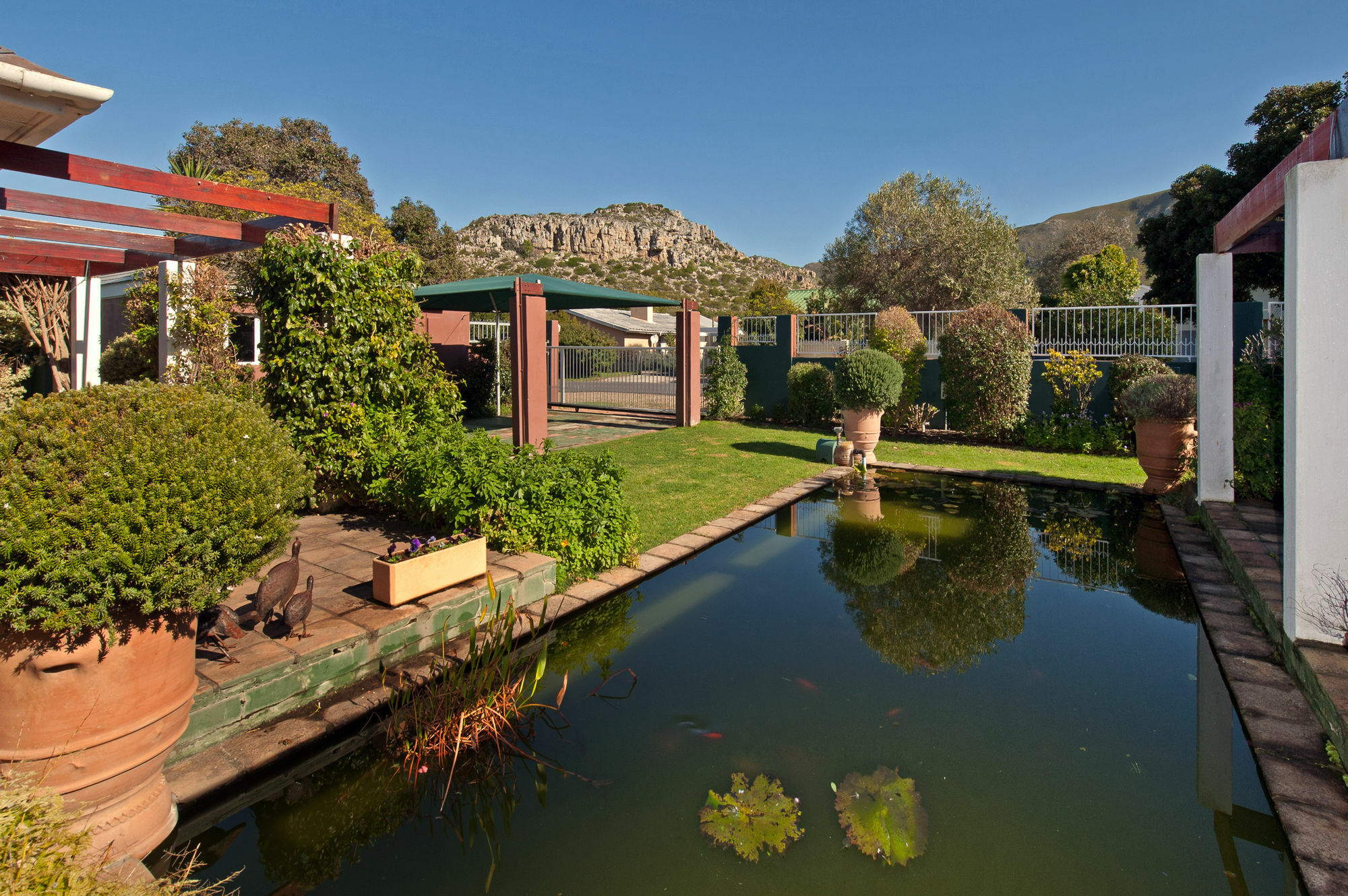 Brown Jug Guest House Hermanus Bagian luar foto